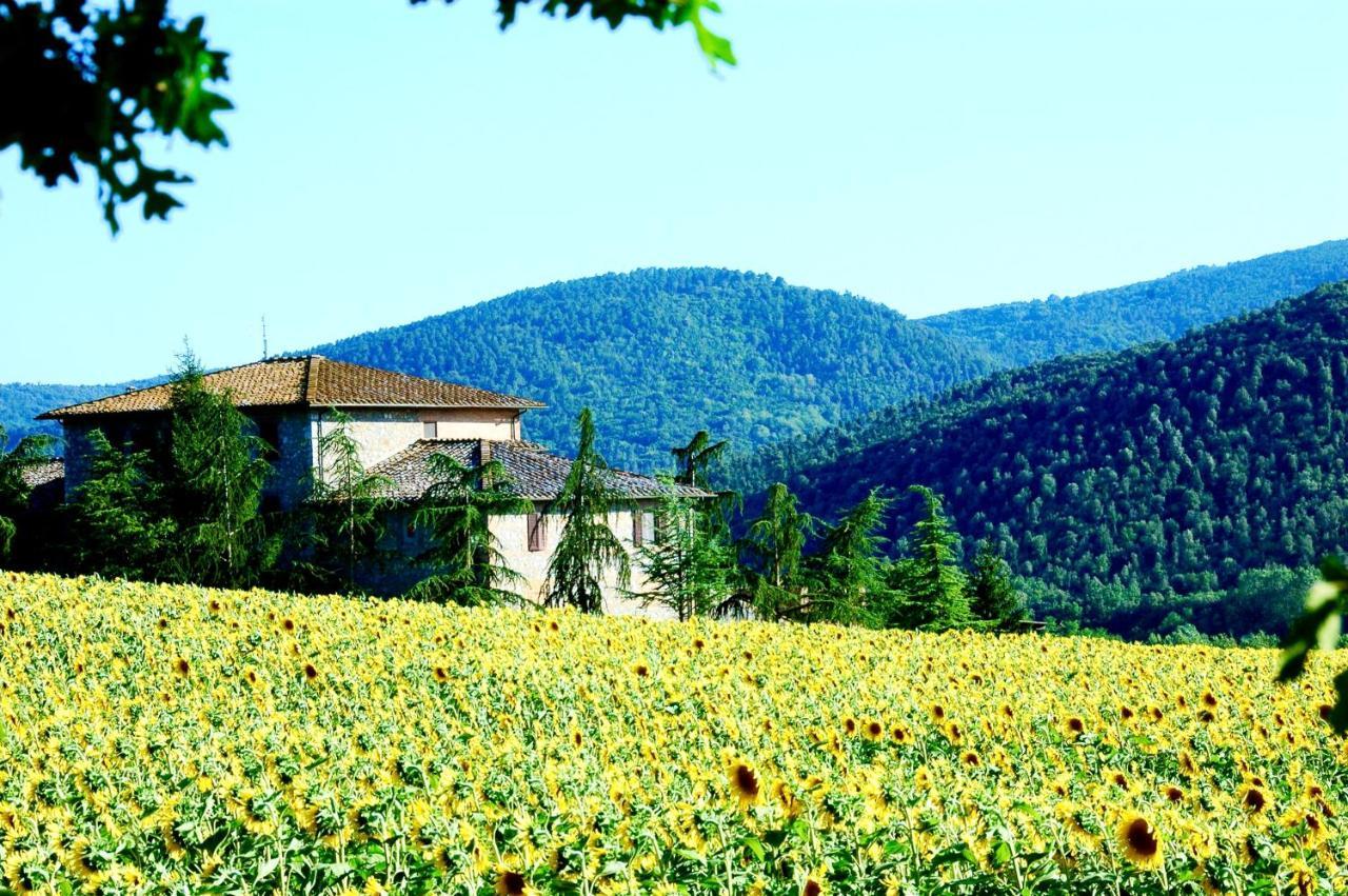 Agriturismo MONTIONI Sovicille Esterno foto